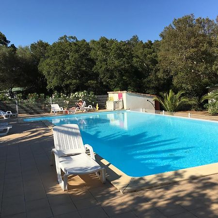 Camping Pezza Cardo 维琪奥港 外观 照片
