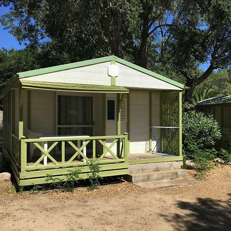 Camping Pezza Cardo 维琪奥港 外观 照片